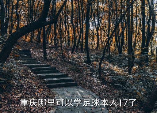 重慶市青少年足球運動，重慶哪有正規足球訓練