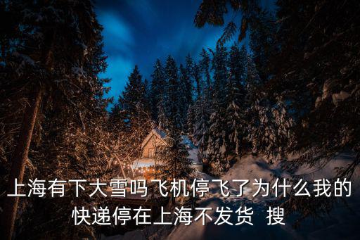 上海有下大雪嗎飛機停飛了為什么我的快遞停在上海不發貨  搜