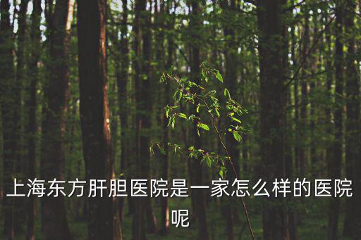 上海東方肝膽醫院是一家怎么樣的醫院呢