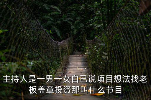 主持人是一男一女自己說項目想法找老板蓋章投資那叫什么節目