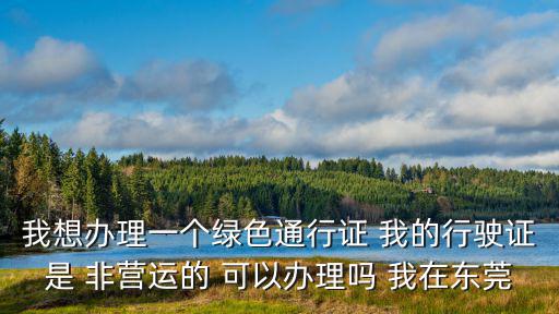 我想辦理一個(gè)綠色通行證 我的行駛證是 非營(yíng)運(yùn)的 可以辦理嗎 我在東莞