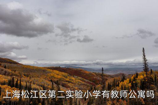 上海市松江區第二小小學，上海松江區第二實驗小學有教師公寓嗎