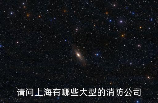 請問上海有哪些大型的消防公司