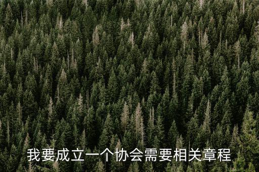 我要成立一個協會需要相關章程