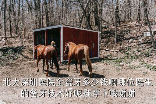 北大深圳醫院全瓷牙多少錢啊哪位醫生的備牙技術好呢推薦下哦謝謝