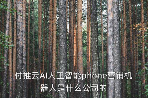 付推云AI人工智能phone營銷機器人是什么公司的