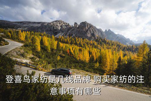 登喜鳥家紡是幾線品牌 購買家紡的注意事項有哪些
