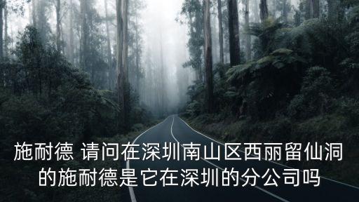 施耐德 請問在深圳南山區西麗留仙洞的施耐德是它在深圳的分公司嗎