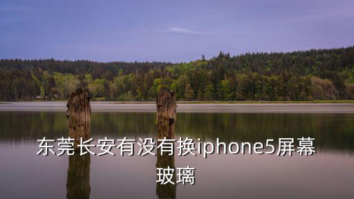 東莞長(zhǎng)安有沒(méi)有換iphone5屏幕玻璃