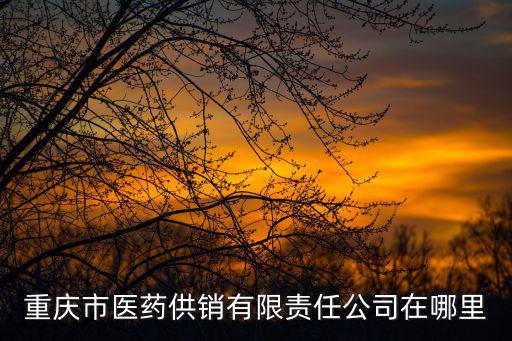 重慶市醫藥物流有限公司招聘信息網，重慶哪些物流公司在招人