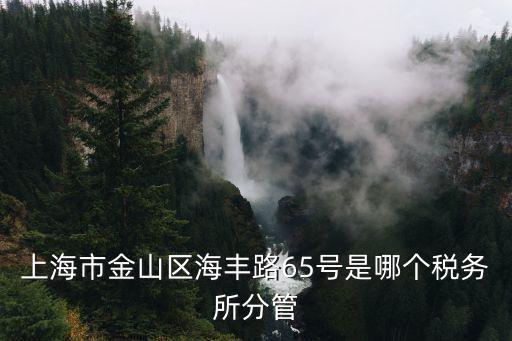 上海市金山區海豐路65號是哪個稅務所分管