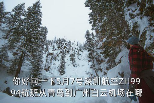 你好問一下5月7號深圳航空ZH9994航班從青島到廣州白云機場在哪