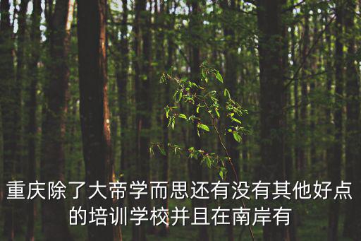 重慶市的學而思，重慶除了大帝學而思還有沒有其他好點的培訓學校并且在南岸有