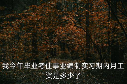 我今年畢業(yè)考住事業(yè)編制實(shí)習(xí)期內(nèi)月工資是多少了