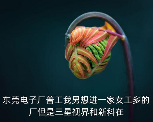 東莞電子廠普工我男想進一家女工多的廠但是三星視界和新科在