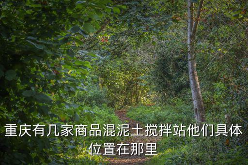 重慶有幾家商品混泥土攪拌站他們具體位置在那里