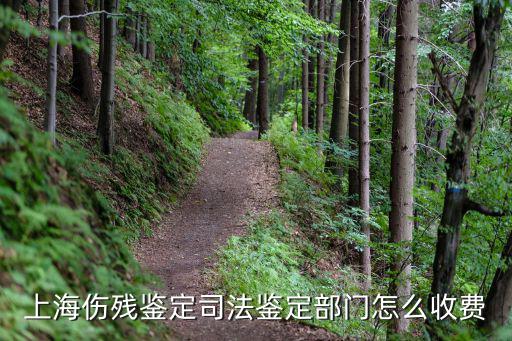 上海傷殘鑒定司法鑒定部門怎么收費