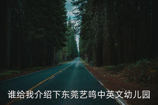 誰(shuí)給我介紹下東莞藝?guó)Q中英文幼兒園