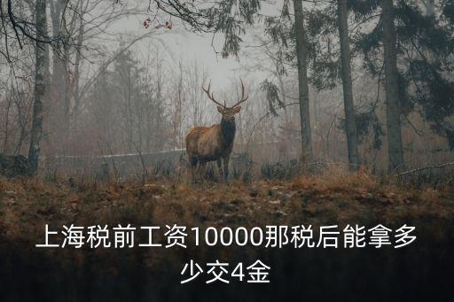 上海稅前工資10000那稅后能拿多少交4金