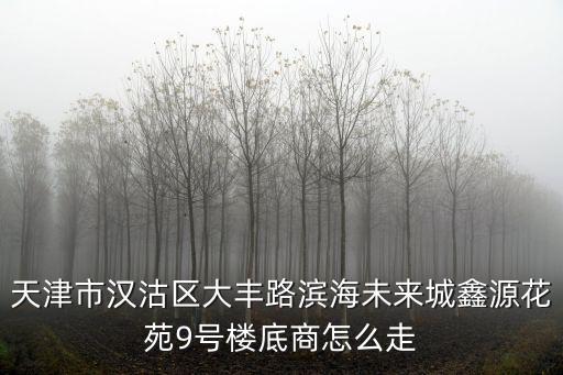 天津市漢沽區大豐路濱海未來城鑫源花苑9號樓底商怎么走