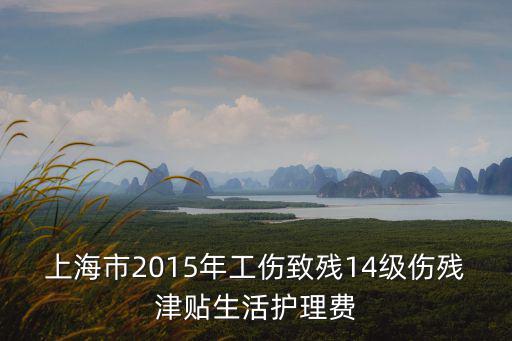 上海市2015年工傷致殘14級(jí)傷殘津貼生活護(hù)理費(fèi)