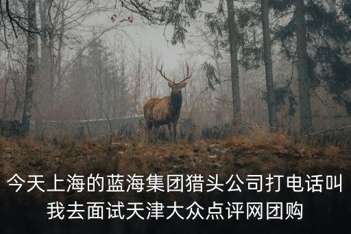 今天上海的藍海集團獵頭公司打電話叫我去面試天津大眾點評網團購