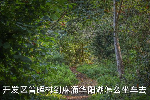 開(kāi)發(fā)區(qū)普暉村到麻涌華陽(yáng)湖怎么坐車(chē)去