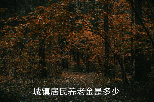 城鎮(zhèn)居民養(yǎng)老金是多少