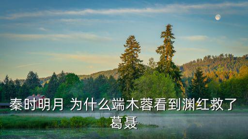 秦時明月 為什么端木蓉看到淵紅救了葛聶