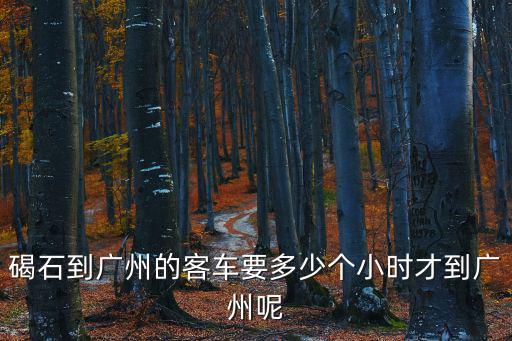 廣州到碣石有多遠(yuǎn)，廣州距離廣東陸豐碣石大約有多遠(yuǎn)