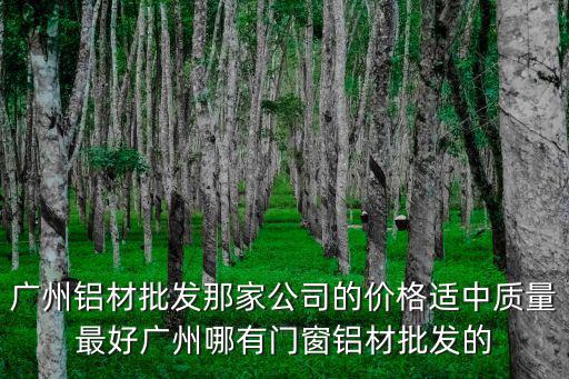 廣州大瀝全鋁防盜門，請問廣東省佛山市南海區大瀝摩托車配件市場C座17號賣摩托車是真的