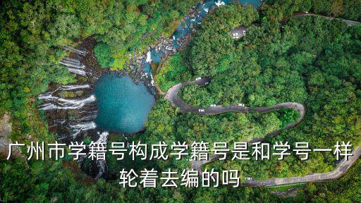 廣州市學籍號構成學籍號是和學號一樣輪著去編的嗎