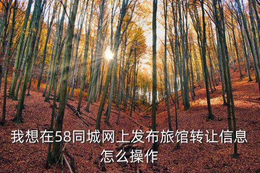 我想在58同城網(wǎng)上發(fā)布旅館轉(zhuǎn)讓信息怎么操作
