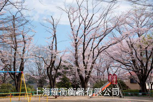 上海市計量所電子稱，上海電子秤 在哪買不錯給推薦下