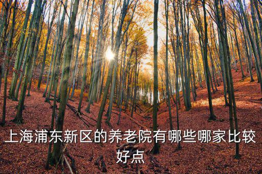 上海浦東新區的養老院有哪些哪家比較好點