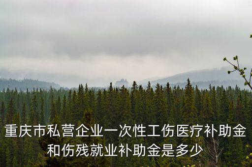 重慶市私營企業一次性工傷醫療補助金和傷殘就業補助金是多少