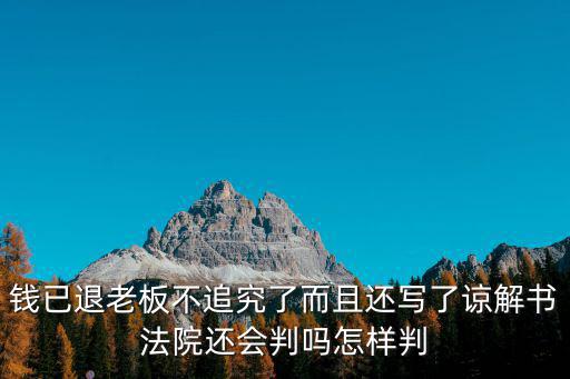 上海市高級人民法院劉曉云，錢已退老板不追究了而且還寫了諒解書法院還會判嗎怎樣判