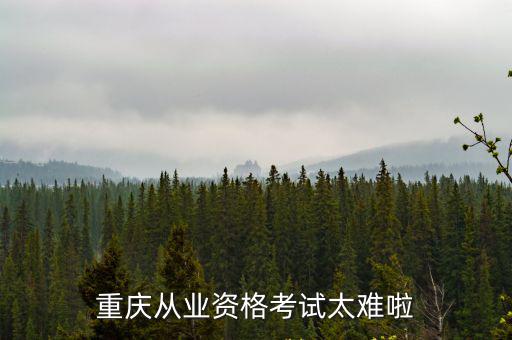 重慶從業資格考試太難啦