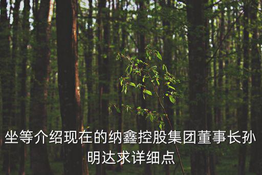 坐等介紹現在的納鑫控股集團董事長孫明達求詳細點