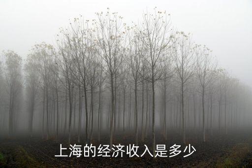 上海的經濟收入是多少