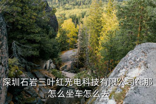 深圳石巖三葉紅光電科技有限公司在那 怎么坐車怎么去
