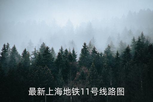 最新上海地鐵11號線路圖