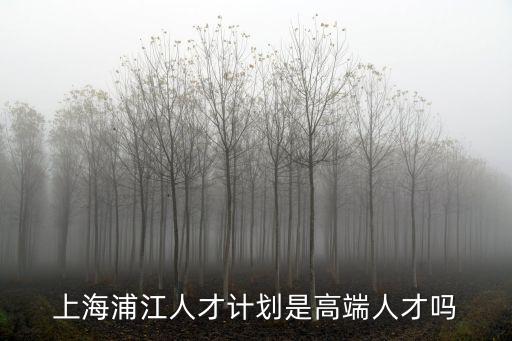上海市浦江人才 資助，上海浦江人才計(jì)劃是高端人才嗎