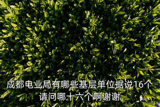 成都電業局有哪些基層單位據說16個請問哪十六個啊謝謝