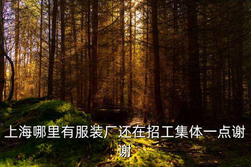 上海哪里有服裝廠還在招工集體一點謝謝