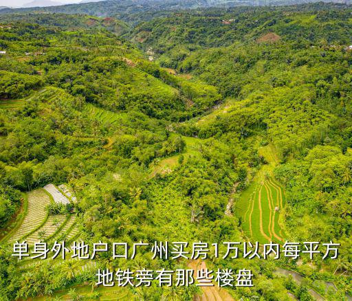 單身外地戶口廣州買房1萬以內每平方地鐵旁有那些樓盤