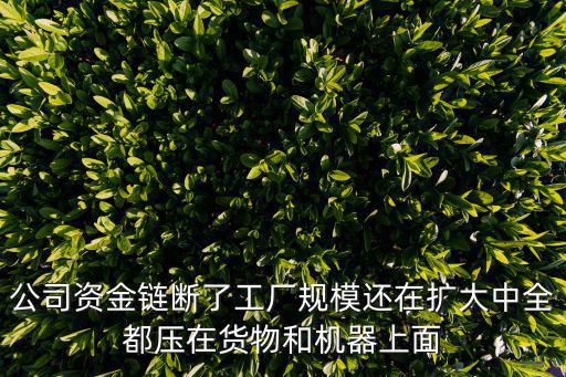 公司資金鏈斷了工廠規模還在擴大中全都壓在貨物和機器上面