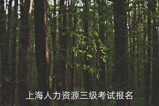 上海人力資源三級考試報名