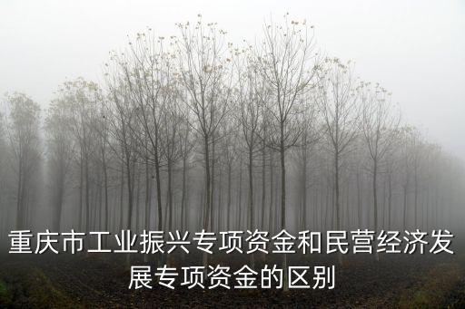 重慶市工業(yè)振興專項(xiàng)資金和民營經(jīng)濟(jì)發(fā)展專項(xiàng)資金的區(qū)別