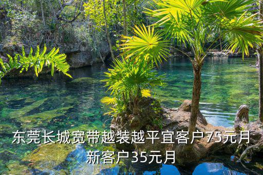 東莞長城寬帶越裝越平宜客戶75元月新客戶35元月